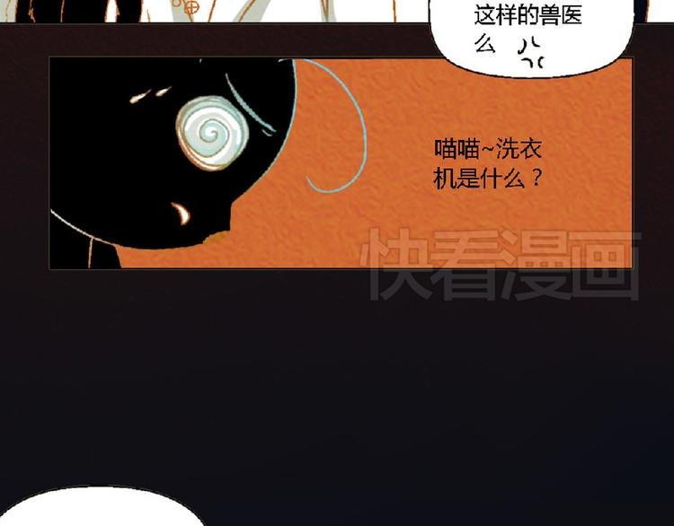 第4话 养猫好痛苦！
