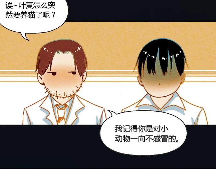 第4话 养猫好痛苦！