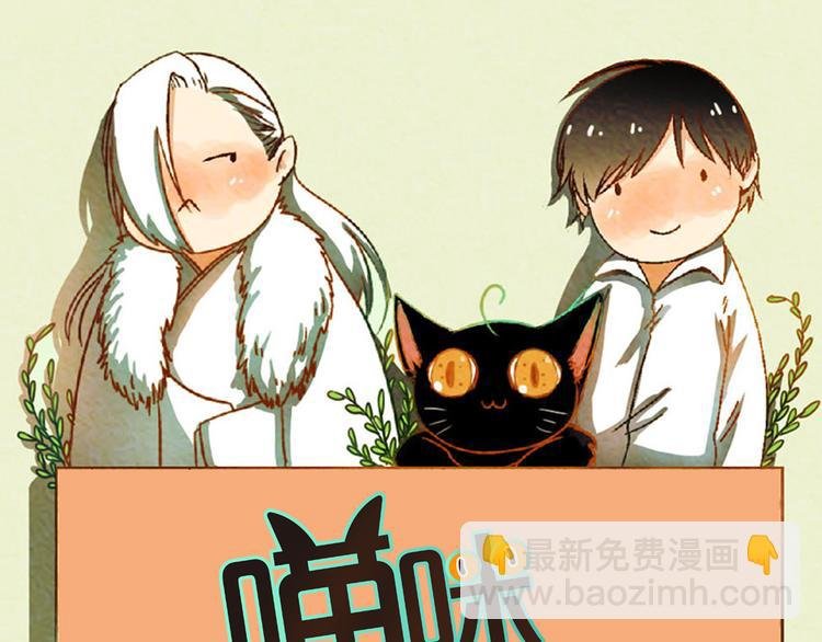 第4话 养猫好痛苦！