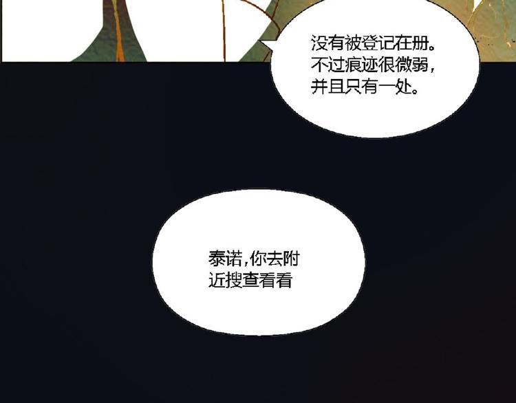 第4话 养猫好痛苦！