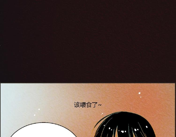 第4话 养猫好痛苦！