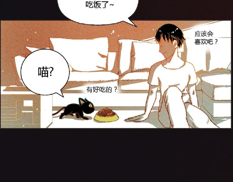第4话 养猫好痛苦！