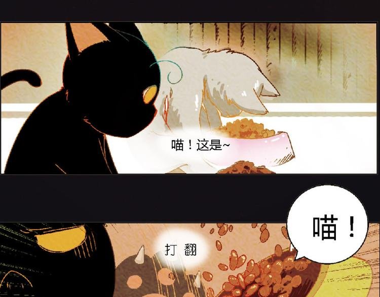 第4话 养猫好痛苦！