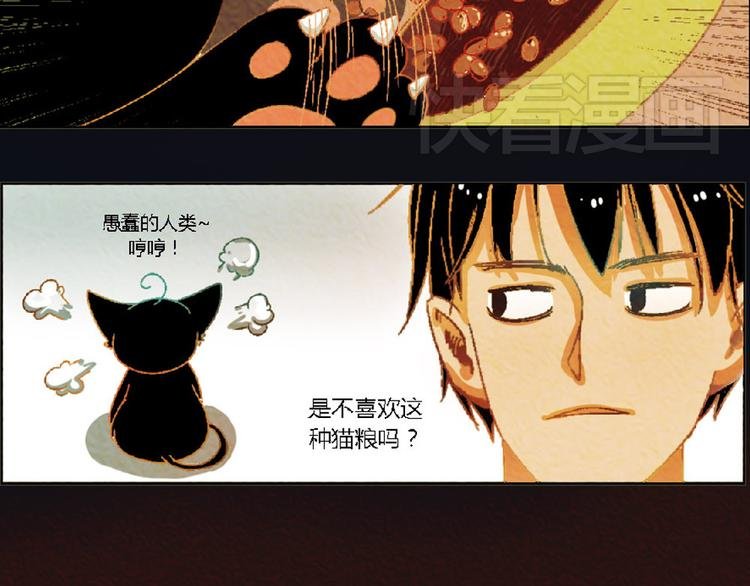 第4话 养猫好痛苦！