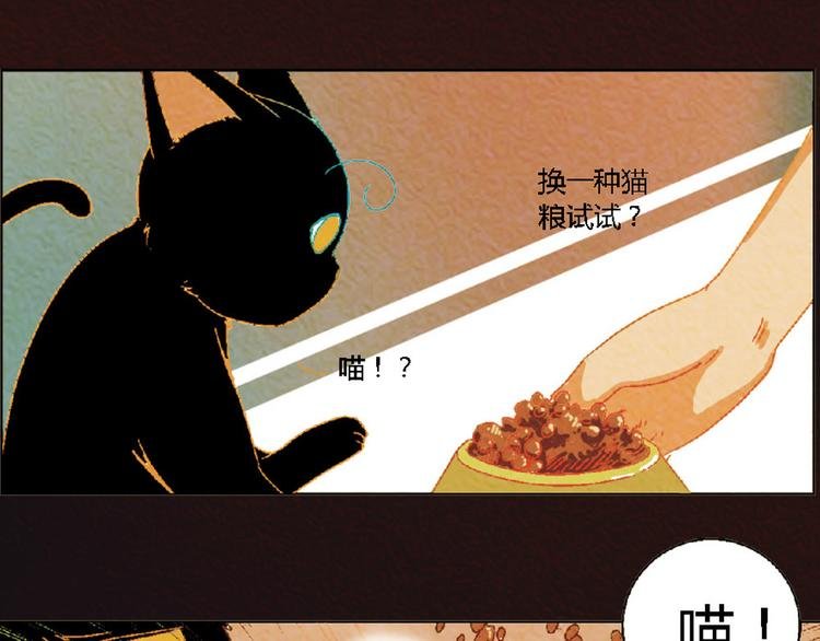 第4话 养猫好痛苦！