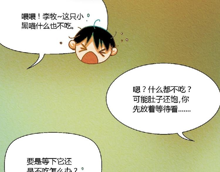 第4话 养猫好痛苦！