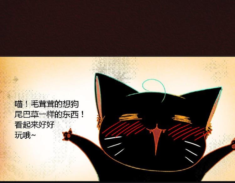 第3话 对人类一见钟情！