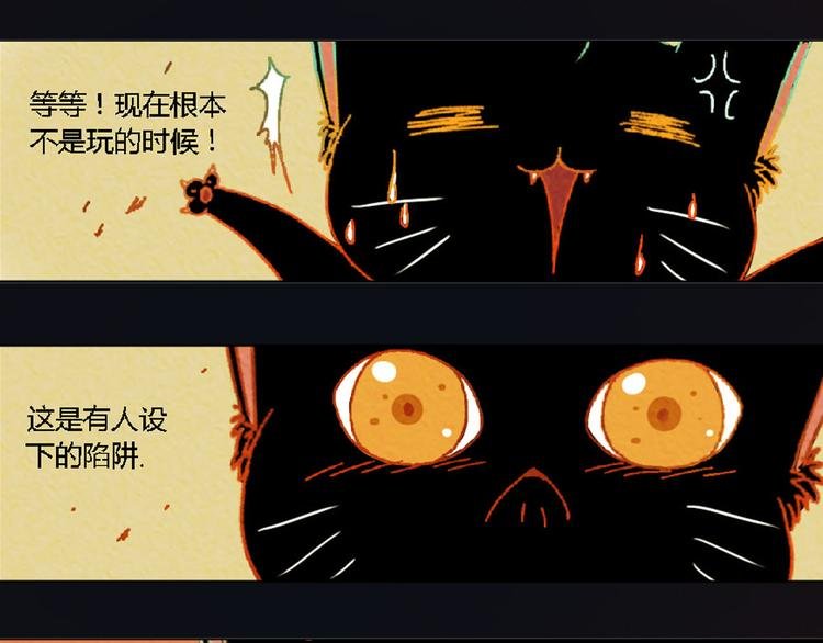 第3话 对人类一见钟情！