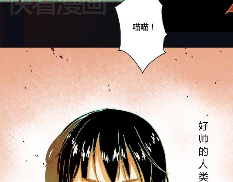 第3话 对人类一见钟情！