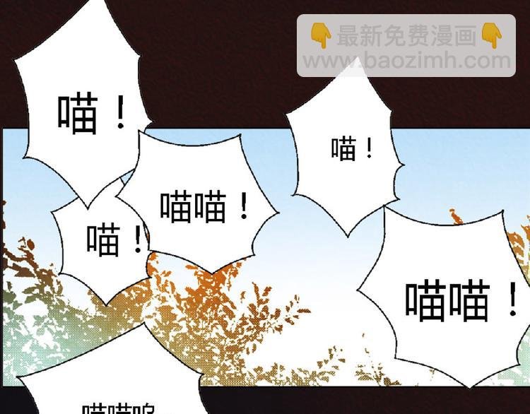 第3话 对人类一见钟情！