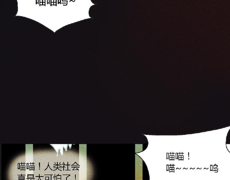 第3话 对人类一见钟情！