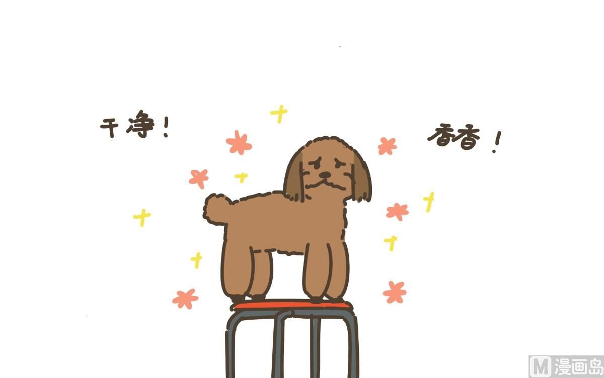 梳毛