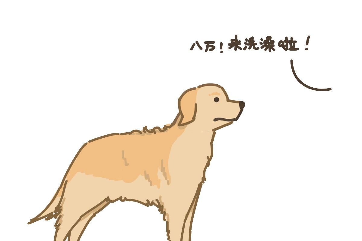 梳毛
