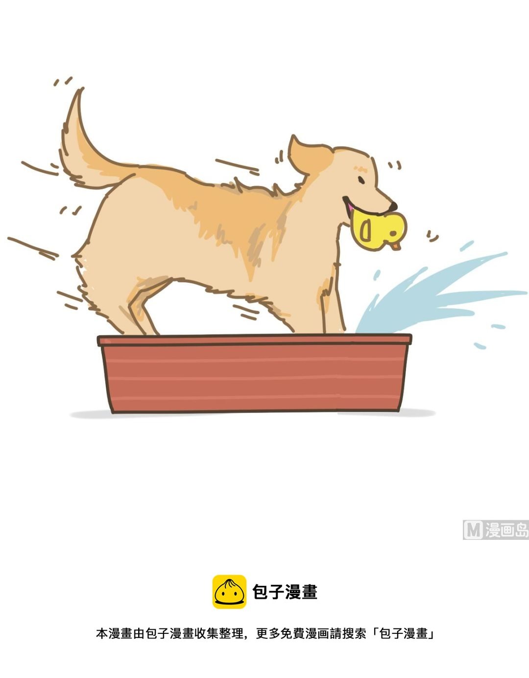 梳毛