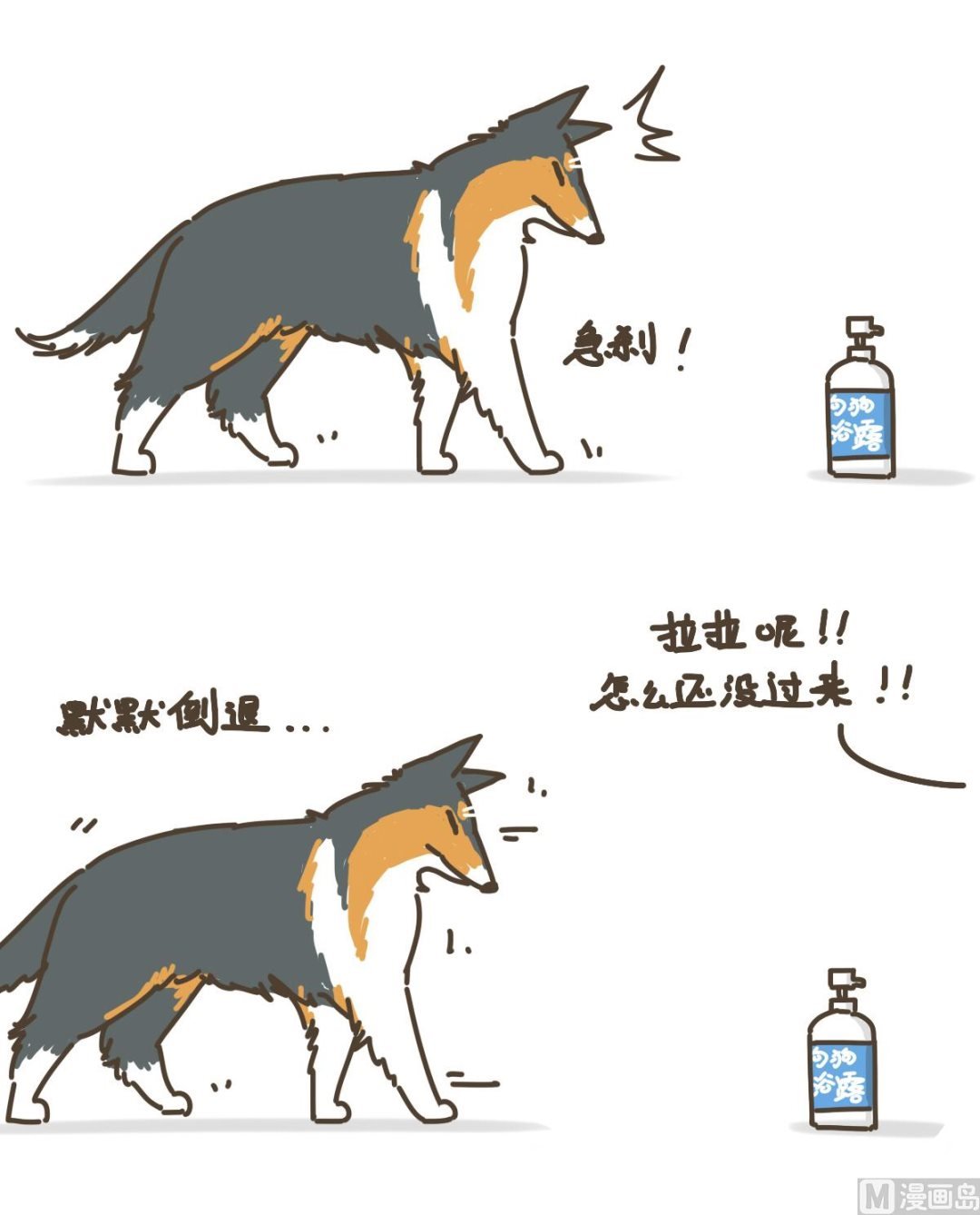 梳毛