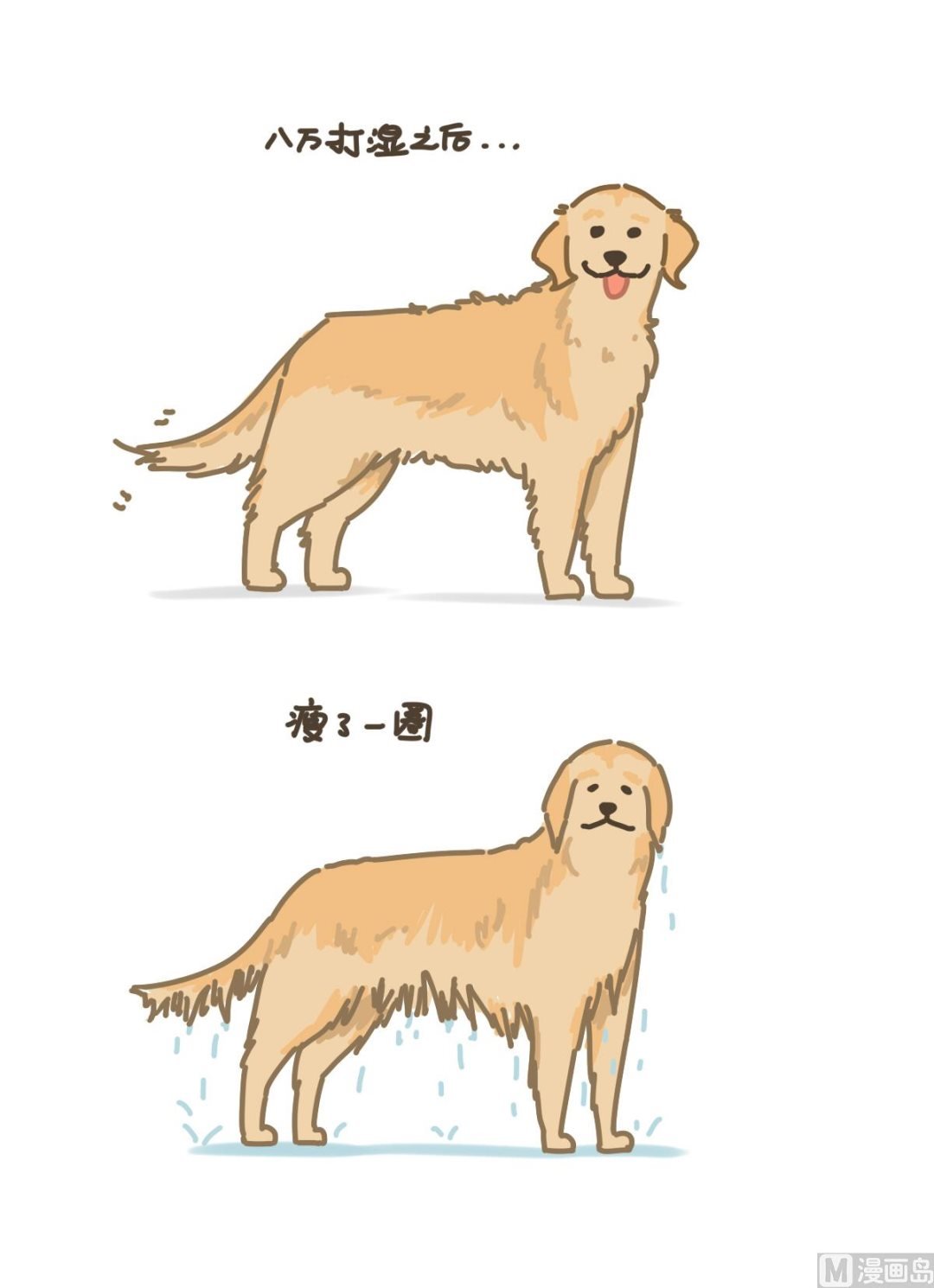 梳毛