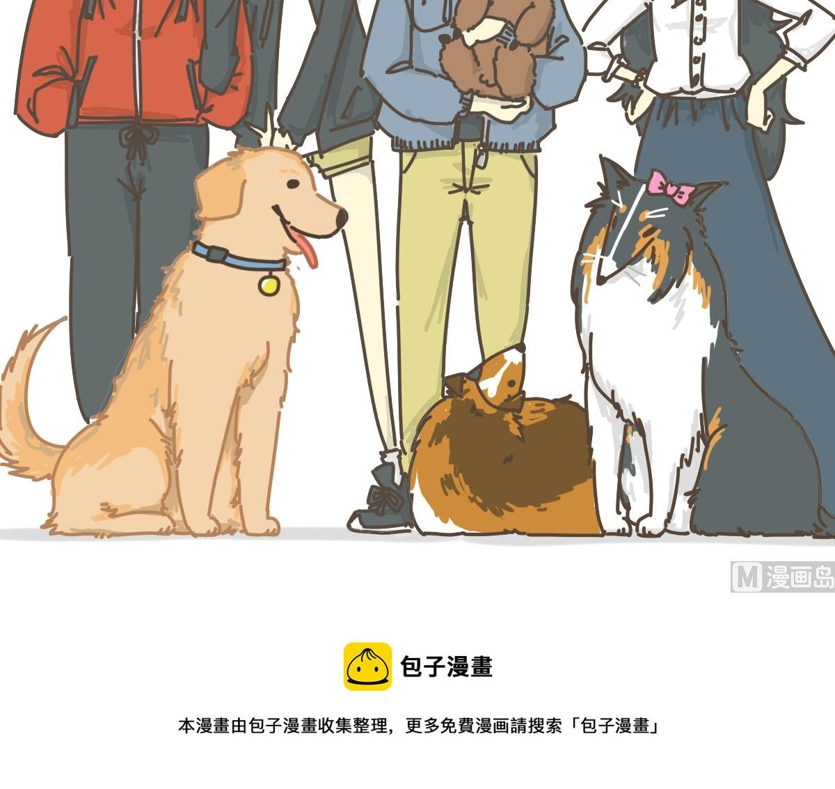 梳毛