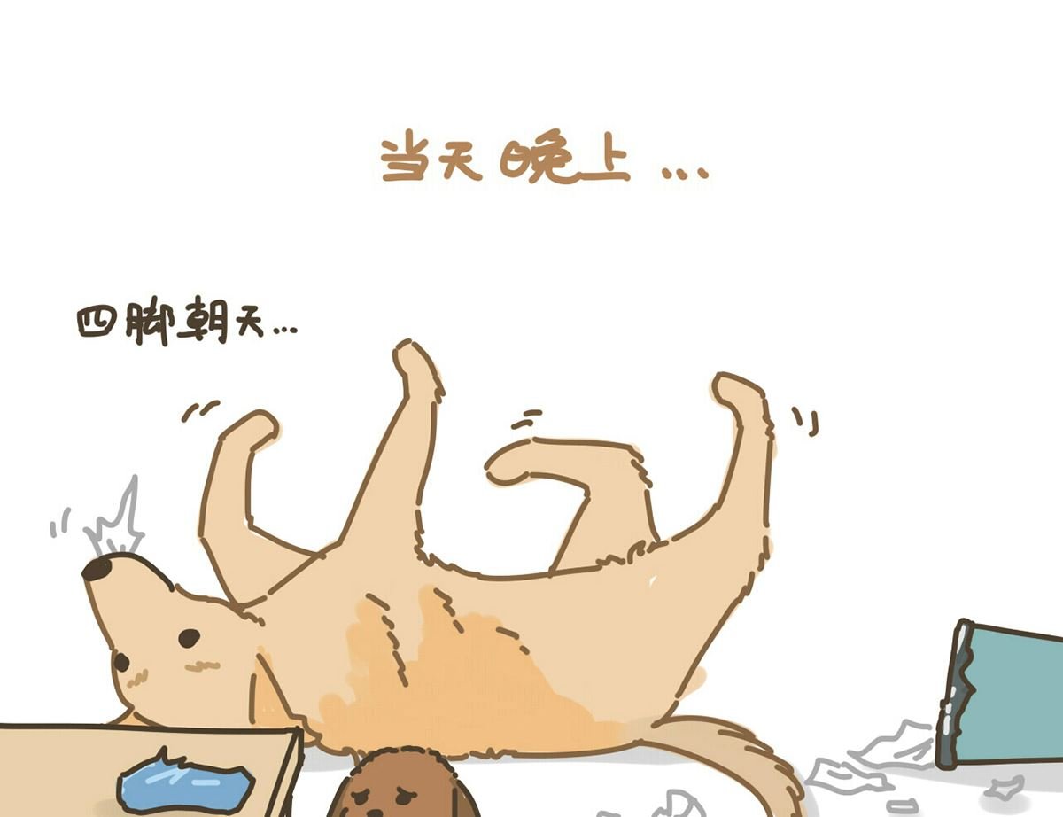 咱家二狗子