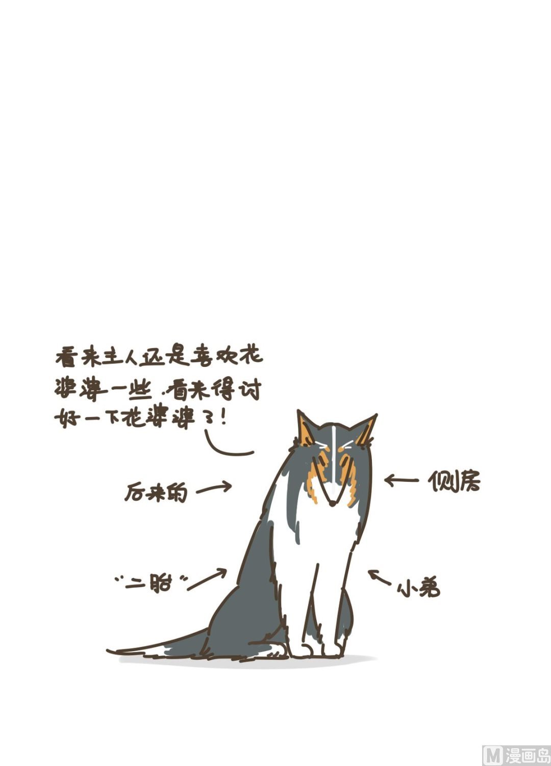 拉拉与花花