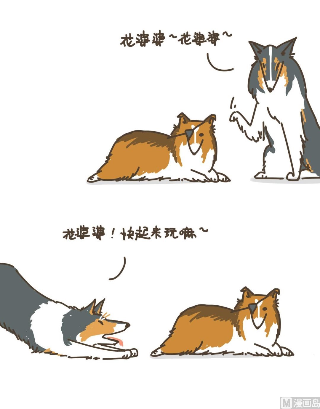 拉拉与花花