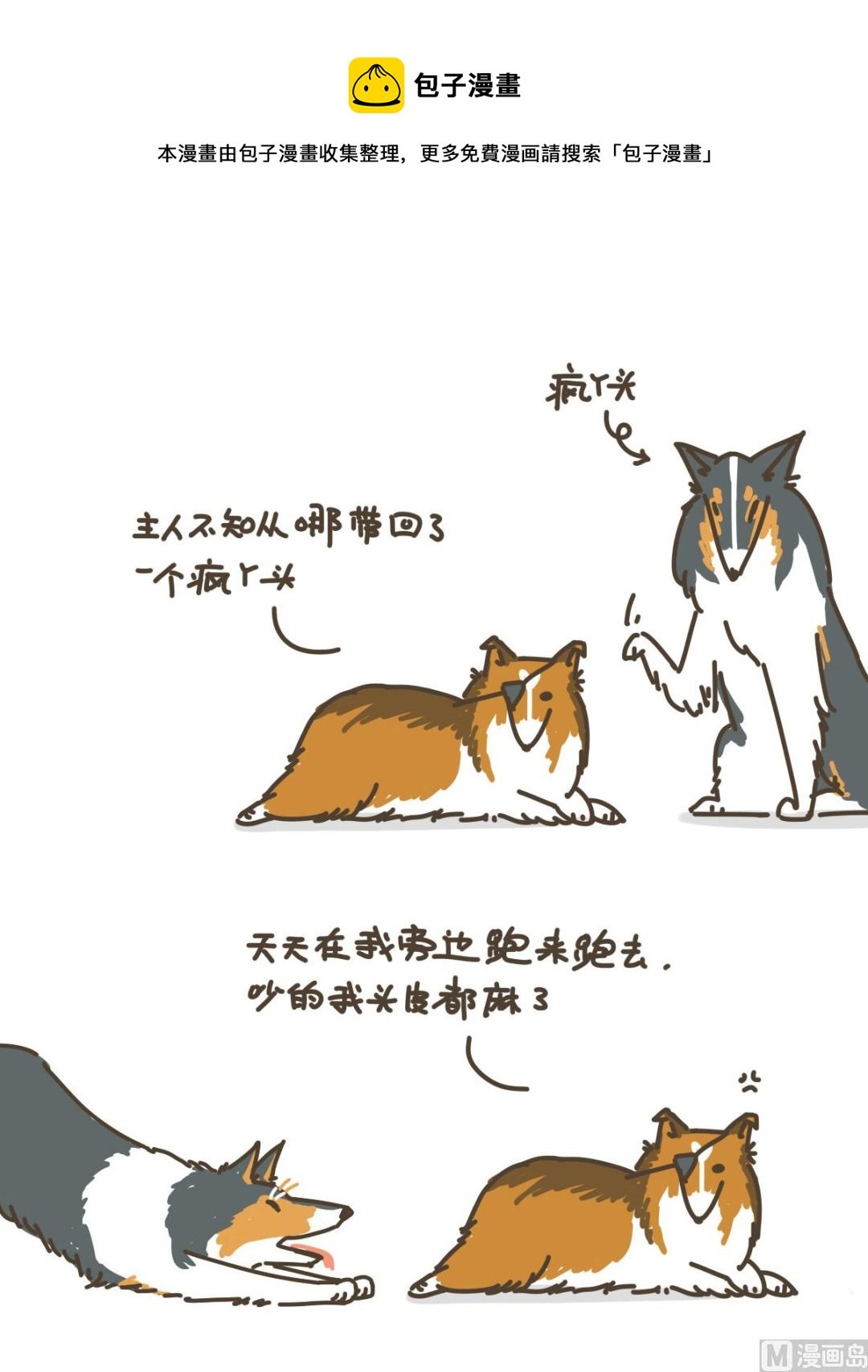 拉拉与花花