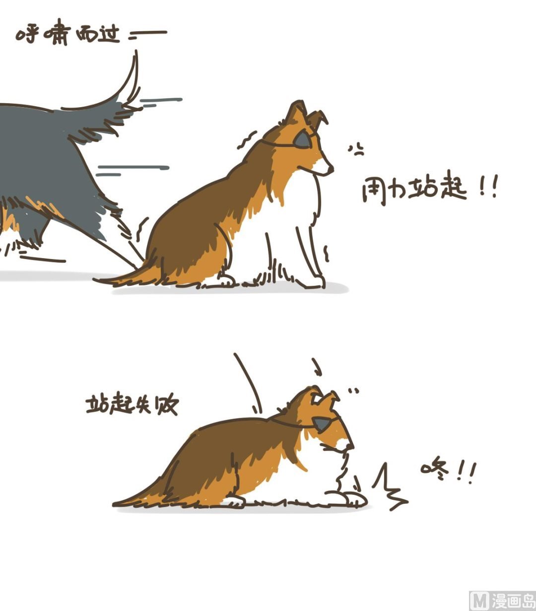 拉拉与花花