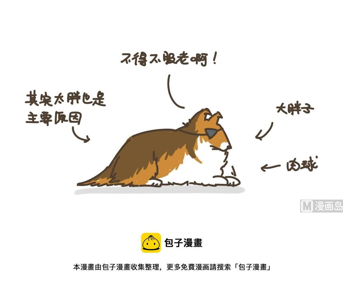 拉拉与花花