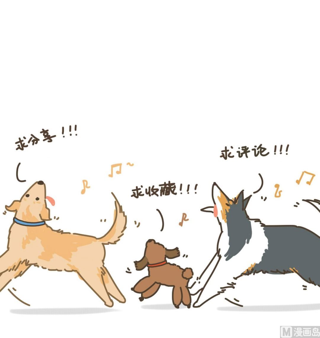 拉拉与花花