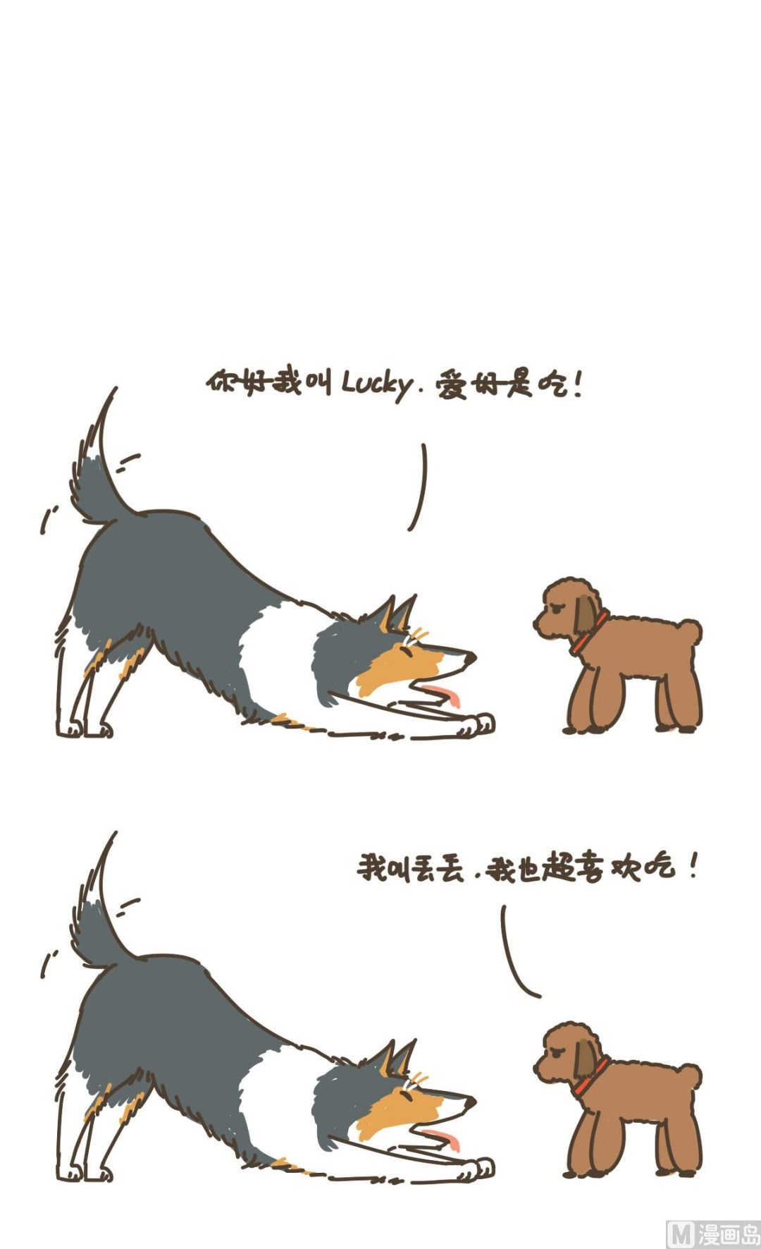 新朋友