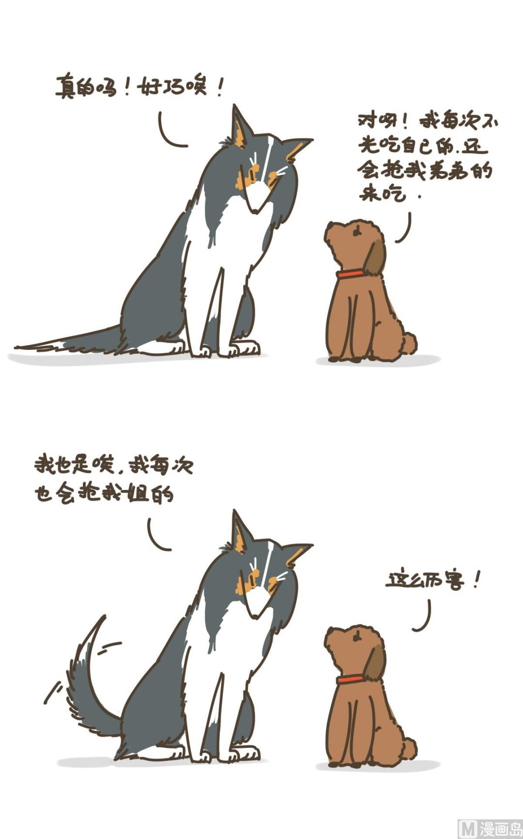 新朋友