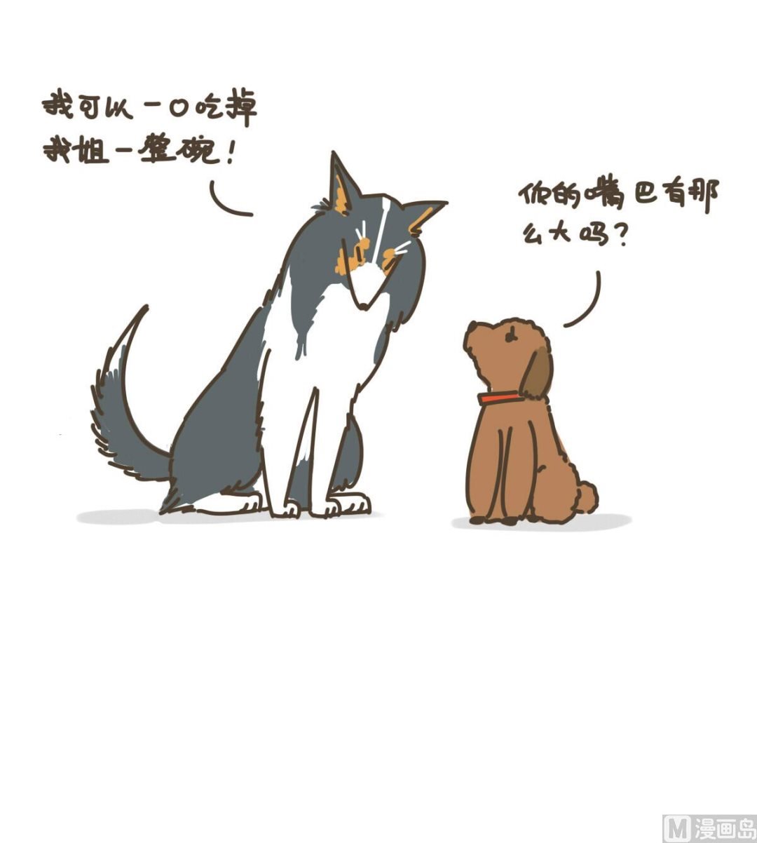 新朋友