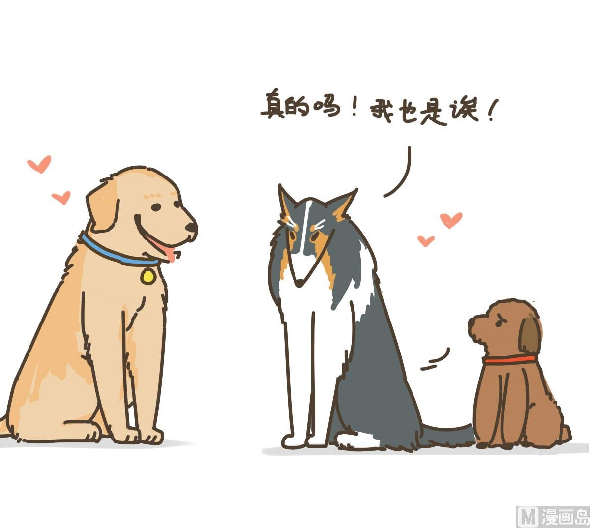 新朋友