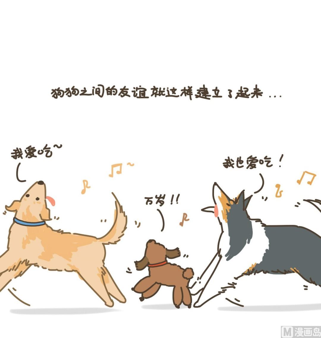 新朋友