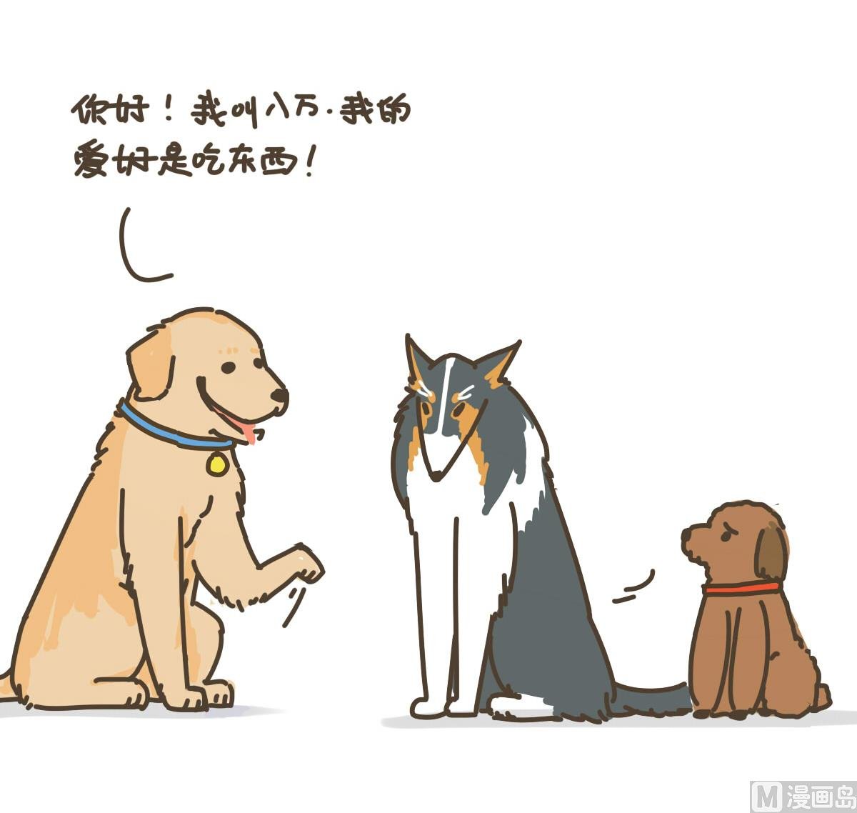 新朋友
