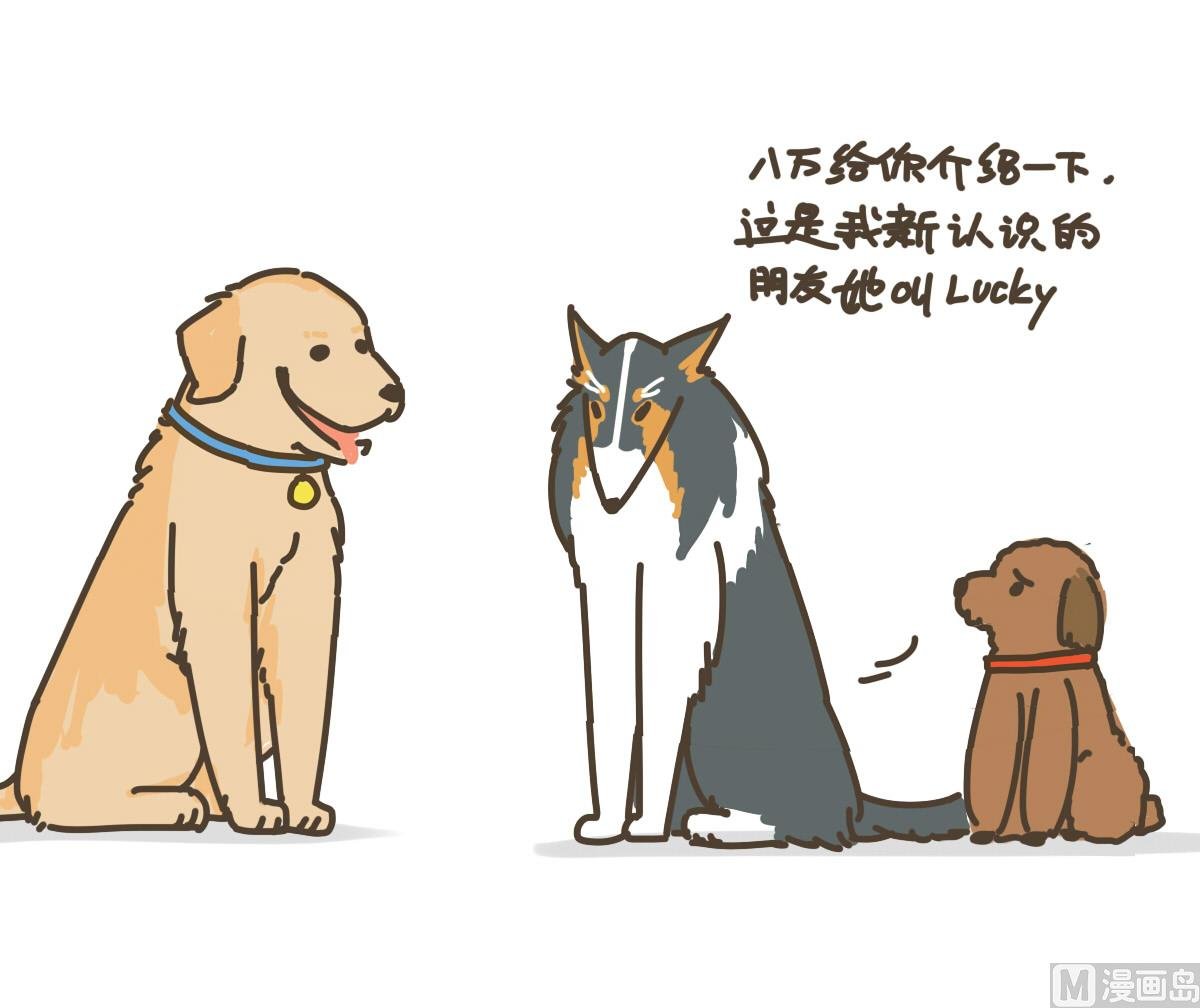 新朋友
