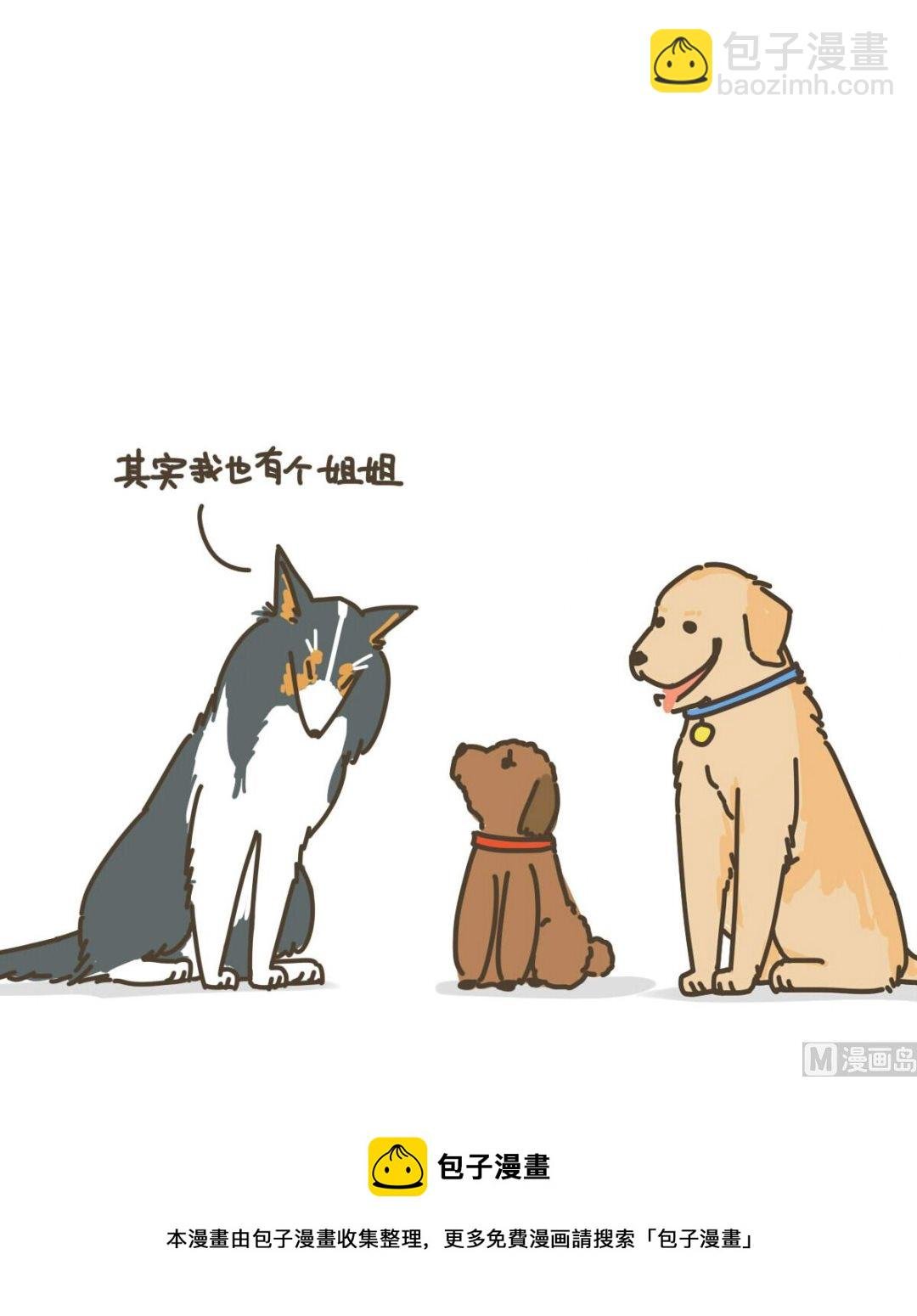 新朋友