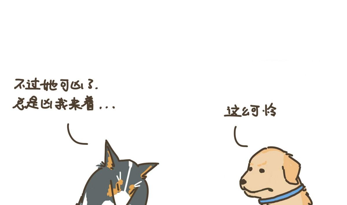 新朋友