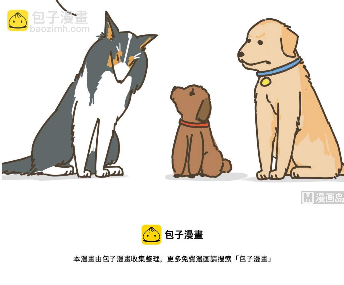 新朋友