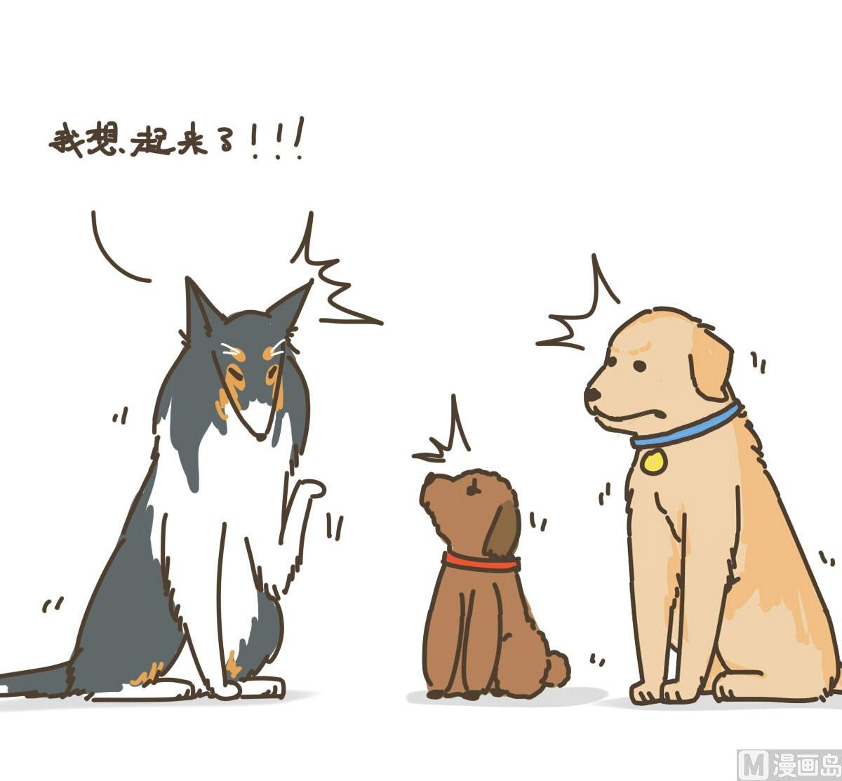 新朋友