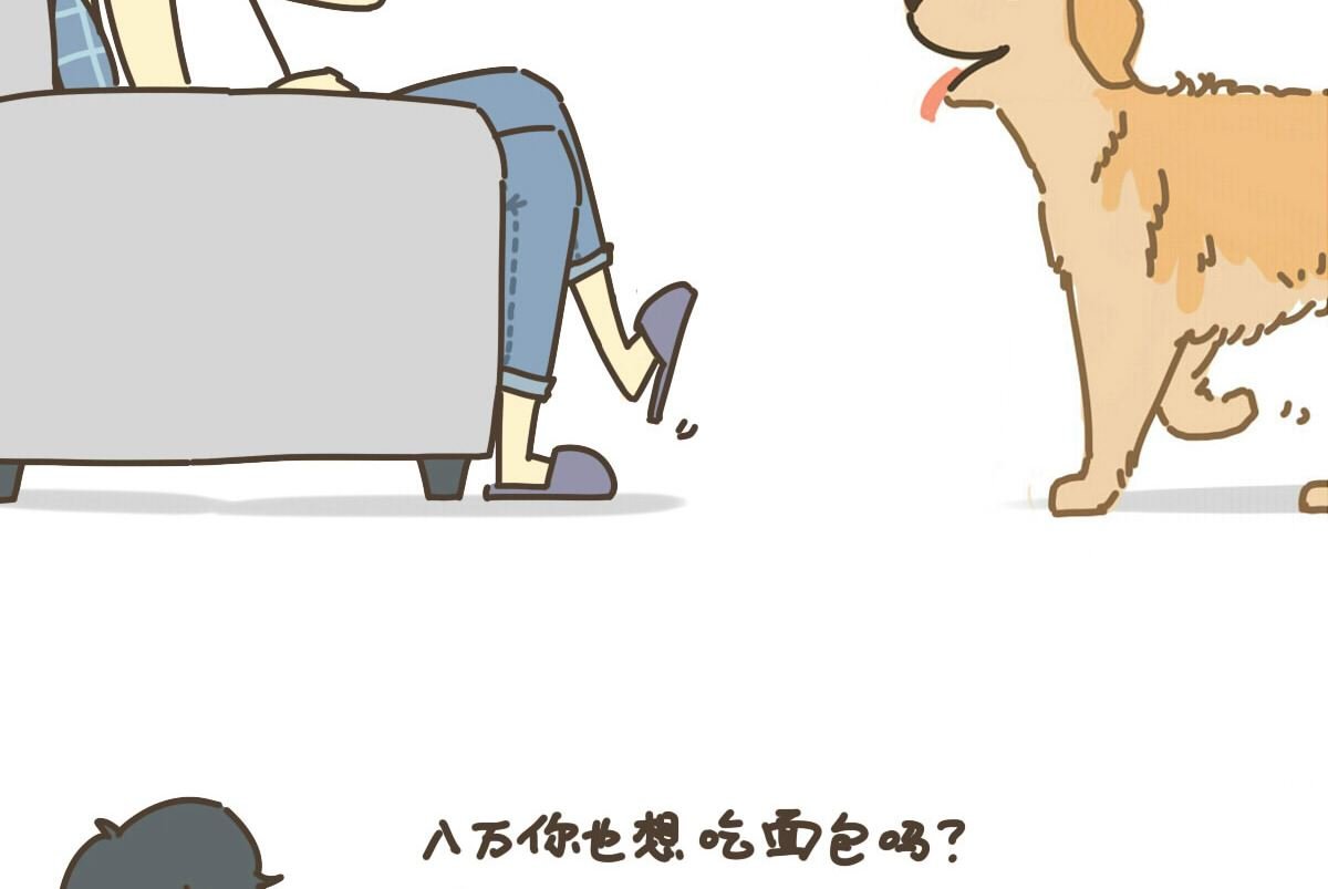 面包与海苔