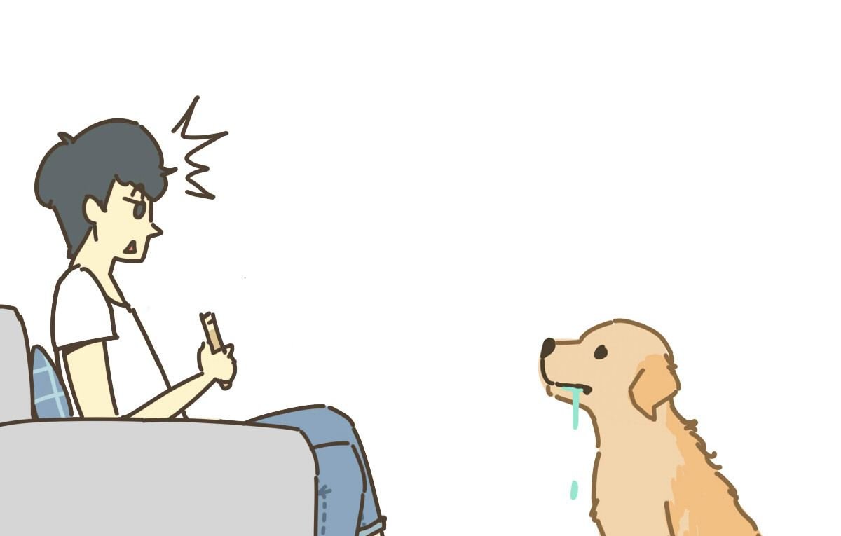 面包与海苔