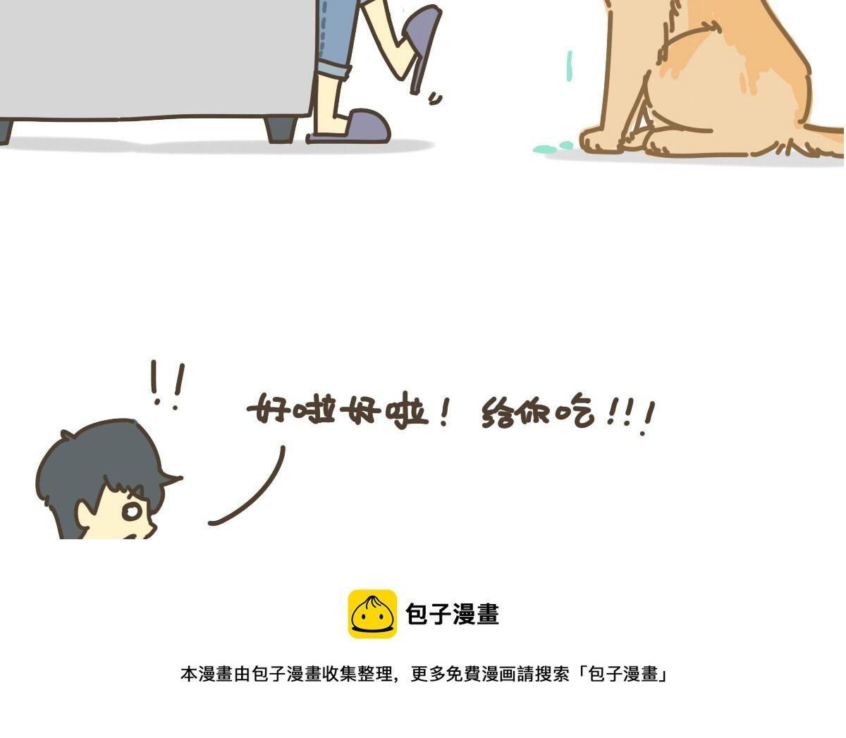 面包与海苔