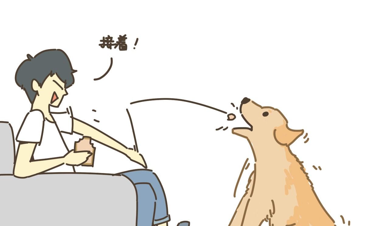 面包与海苔