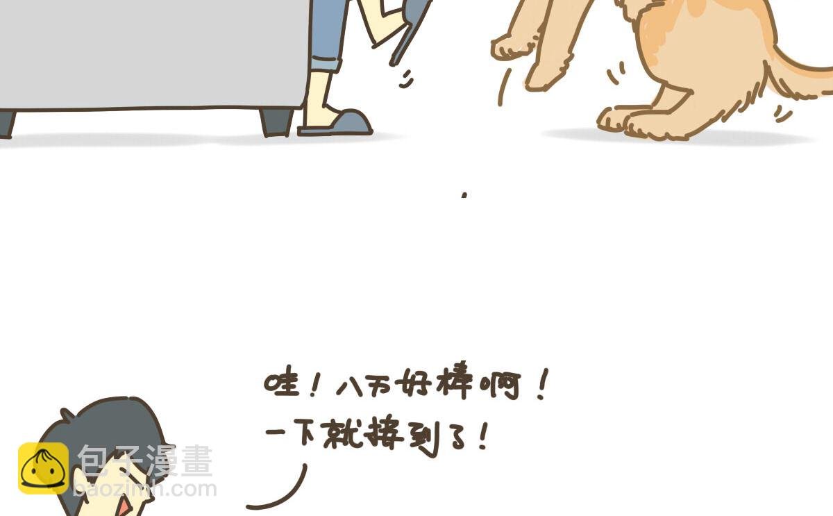 面包与海苔