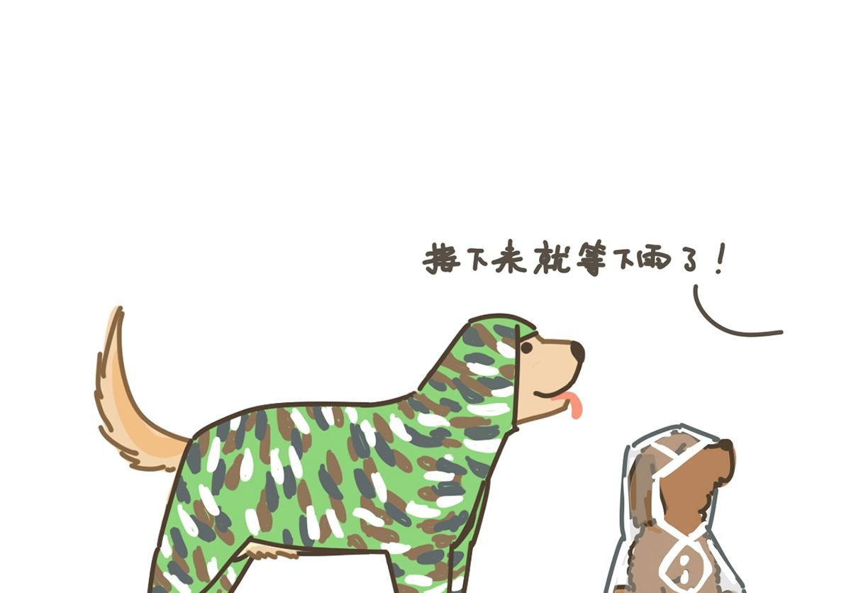 雨衣