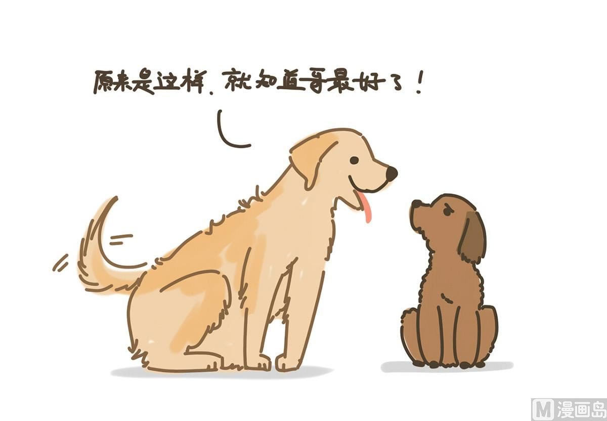 丢丢与八万