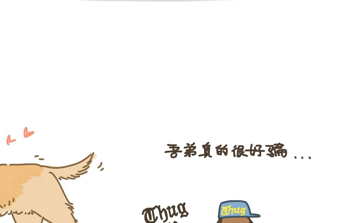 丢丢与八万