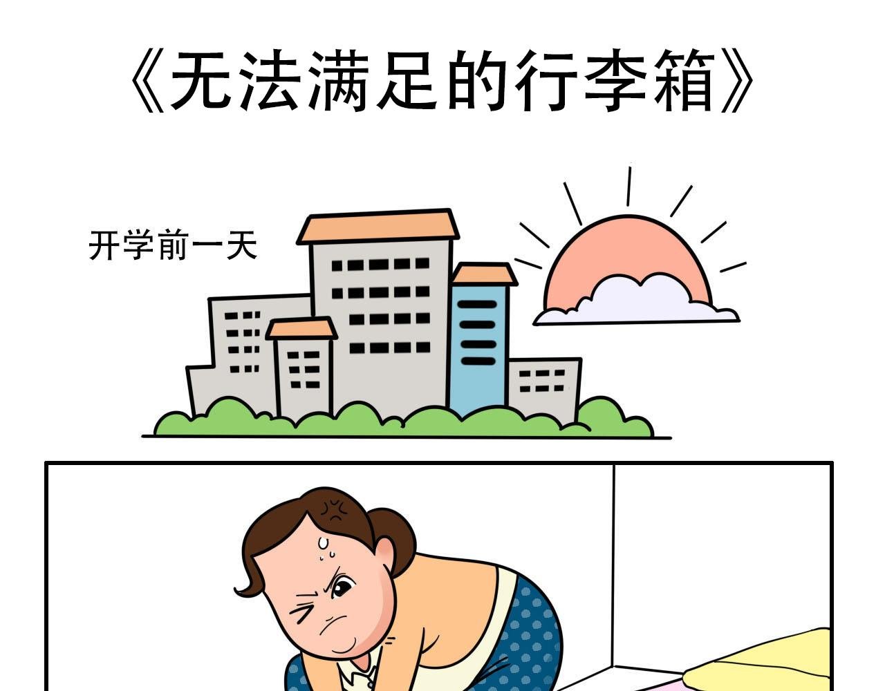 无法满足的行李箱