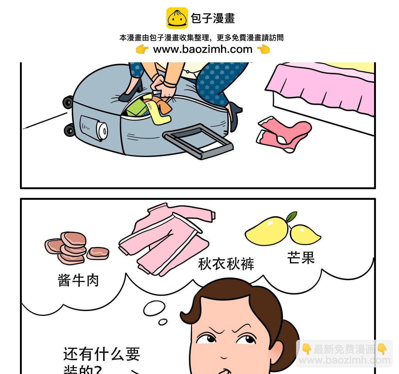 无法满足的行李箱