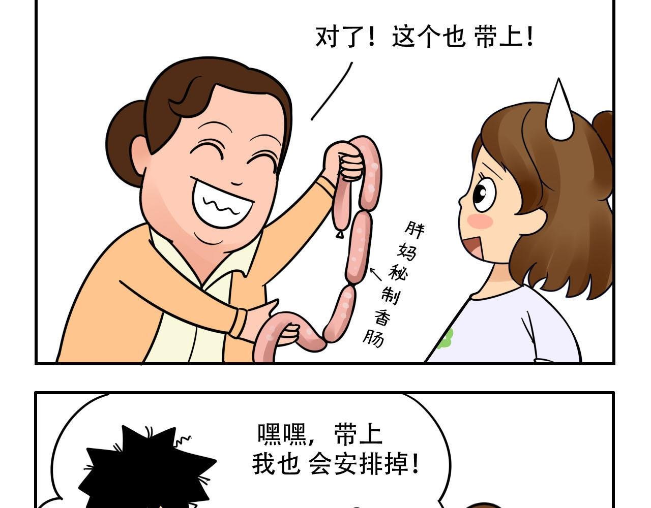 无法满足的行李箱